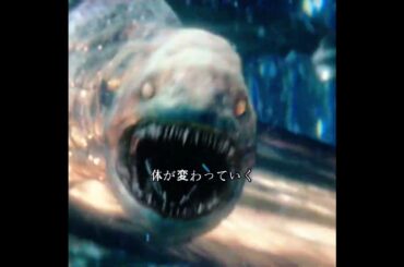 #映画紹介 #奇妙な事件 #映画 #映画解説