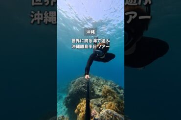 【#沖縄  異次元です…】沖縄離島へ半日で行けるツアーで行った海の透明度がヤバすぎたので紹介します！《沖縄旅行・観光・旅行・Okinawa》#沖縄旅行 #japan #okinawa#sea
