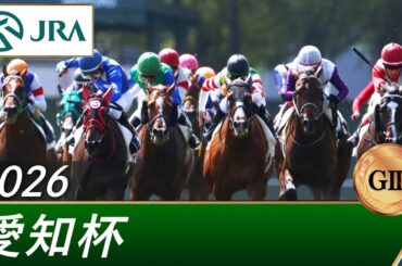 2026年 愛知杯（GⅢ） | 第63回 | JRA公式