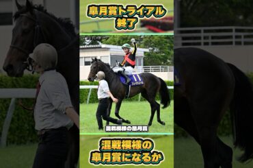 【2026年皐月賞トライアル終了】優先出走可能な馬と賞金順は？　#shorts #競馬予想 #馬 #皐月賞 #弥生賞 #スプリングs #スプリングステークス