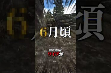 タルコフのワイプがついに決定！？ニキータの最新情報はこちら  #タルコフ  #eft #ニキータ