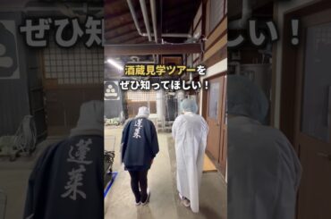 これが世界一の日本酒の秘密です🍶渡辺酒造店見学ツアーが神すぎた
