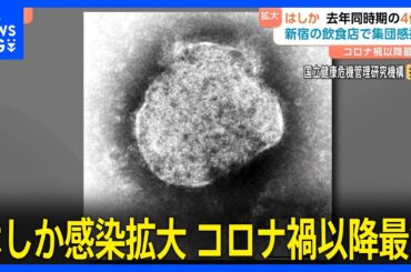 コロナ禍以降で最多…はしかが感染拡大　感染者が去年同時期の4倍超に　肺炎や中耳炎の恐れも【Nスタ】｜TBS NEWS DIG