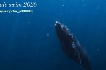 2026年03月22日 Perfume かしゆかさんのインスタグラム投稿「whale swim 2026 」#しゅみゆか＋音楽生成AI Suno AIで作った曲「水中散歩2」