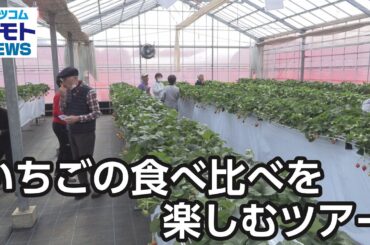 いちごの食べ比べを楽しむツアー【地モトNEWS】2026/3/17放送