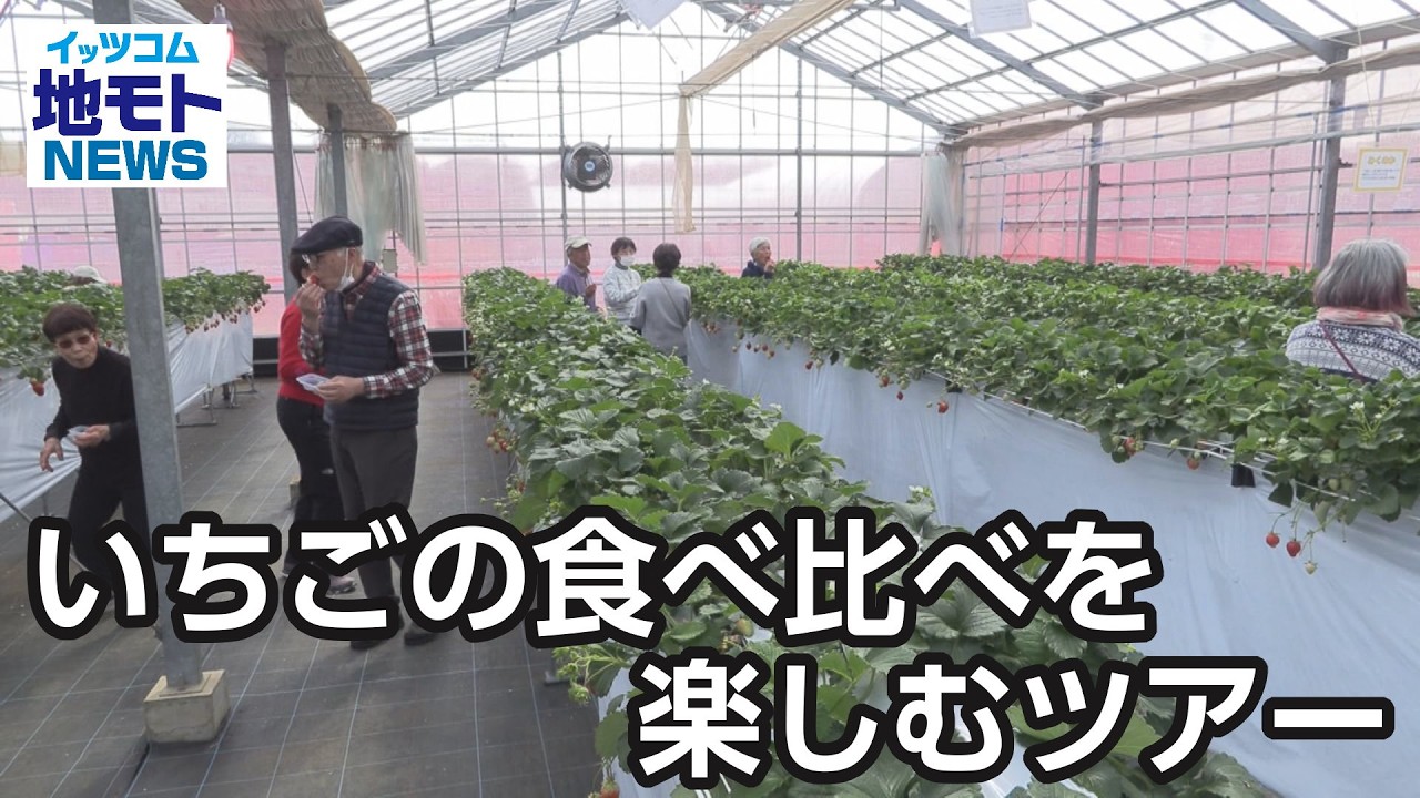いちごの食べ比べを楽しむツアー【地モトNEWS】2026/3/17放送 いちごの食べ比べを楽しむツアー【地モトNEWS】2026/3/17放送