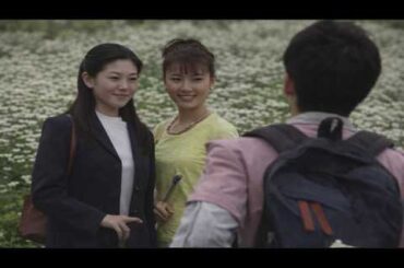 【サスペンスドラマ最新】タクシードライバーの推理日誌8｜東京～新潟350kmミステリー【最高の日本映画】