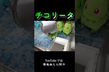 #クレーンゲーム #攻略 #ポケモン #ポケモン30周年 #チコリータ