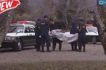 🕵️‍♂️ 現職刑事が刺殺…2人の女が同時に自首!? 衝撃の真犯人👮日曜ミステリー 2025 -  FULL EP #邦画