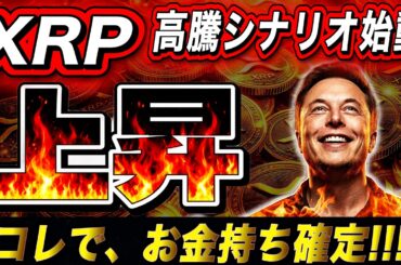 XRPで1億円を狙うなら、今月中に〇枚保有しないと不可能です【リップル最新情報】
