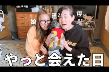 【年の差夫婦】保護犬いと君を実家に連れて行った日、家族みんなが笑顔になった