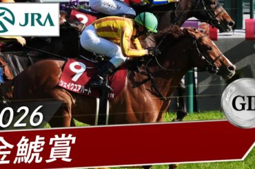 2026年 金鯱賞（GⅡ） | シェイクユアハート | JRA公式