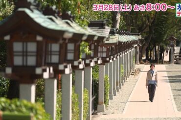 ロコレコは伊原六花！ゲストの旅は田中麗奈！「旅サラダ」3月28日（土）放送