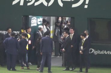 斎藤飛鳥　始球式まで待機中