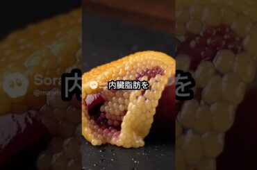 空腹12時間後、あなたの脂肪はこうやって燃えている