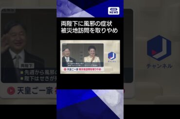 【ニュース】天皇ご一家　被災地訪問を取りやめ　両陛下に風邪の症状 #shorts