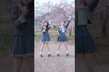 AKB48 小栗有以 山内瑞葵 💓💓💓💓