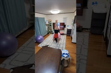 夏の扉🎵 松田聖子🎶 #動じない猫 #信頼関係 アクロバット×バランスボール 頭の中で楽曲を想像&表現🧏‍♀️ #聖子ちゃん特集