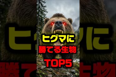 ヒグマに勝てる生物TOP5！#shorts #ランキング