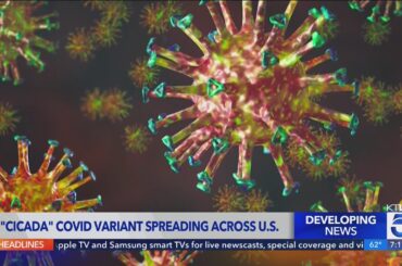 New, Highly-Mutated Covid-19 Variant known as "Cicada" spreading across the U.S.