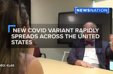 New covid variant rapidly spreads across the United States