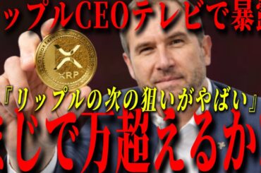 『リップル革命』リップルCEOがテレビで語る、次の上昇の目安について。