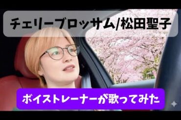 【ボイストレーナーが歌ってみた】チェリーブロッサム/松田聖子