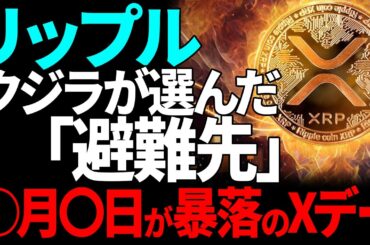 【リップル(XRP)】○月〇日すべてが暴落のXデー？！クジラが選んだ避難先とは！？【仮想通貨】