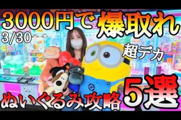 3000円で爆取れ!!原価割れの赤字確定ぬいぐるみ攻略5選!!