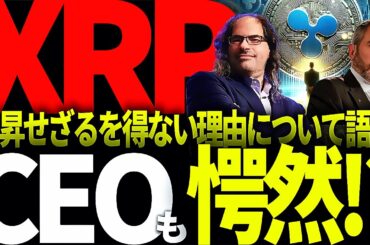 リップル速報!!XRPが高額にならなければいけない運命をリップル名誉CTOが真実暴露で一同騒然!!#仮想通貨#リップル#暗号資産#XRP