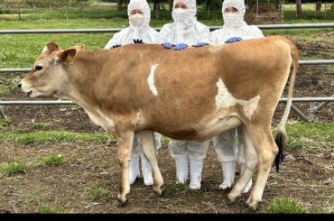 【画像】「宮内庁」のインスタｗｗｗｗｗｗｗｗｗｗｗｗｗｗ