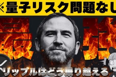 【※最大の危機でもXRPが余裕な理由】【ビットコイン盗み放題？】
