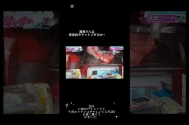 🥩#ぽかぽか#牛肉ぴったんこチャレンジ#芸能人格付けチェック#映す価値なし#MAD#きむらきょうや#真飛聖　🥩