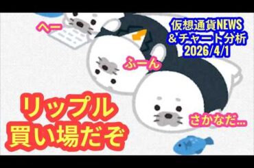 【リップル、買い場だぞのニュース】本日の相場分析は「BTC・XRP・CHZ」2026/4/1