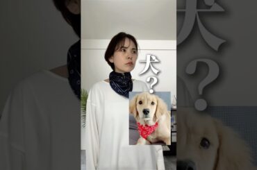 スカーフがなんか、ヘン？大人世代の失敗しないスカーフコーデ #40代ファッション #アラフォーファッション