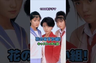【1988年ドラマ】「花のあすか組！」キャストの今と昔