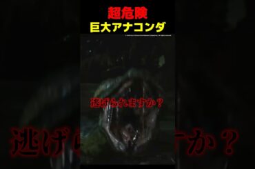 危険すぎる人喰いアナコンダ #映画 #紹介 #洋画 #感想動画 #anaconda #アナコンダ #危険