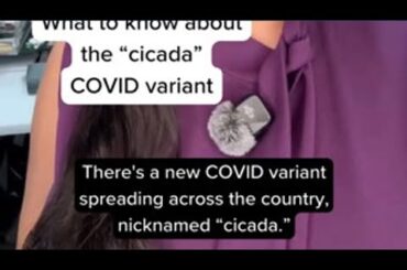What to know about new 'cicada' COVID variant