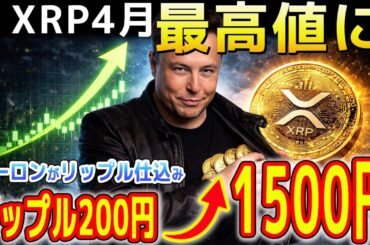 🔥XRP1500円へ🔥イーロンがXRPを仕込んでた⁉️4月最高値が確定したぞ…【暗号資産　最新情報】