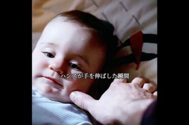 #映画紹介 #movie #恐怖 #奇妙な事件