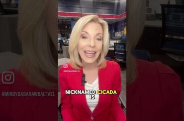 Illness spreading as Spring Break wraps up