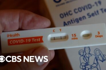 What we know about the new COVID-19 variant