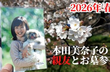 【2026 春】本田美奈子のお墓参りに親友の南野陽子を連れて行った