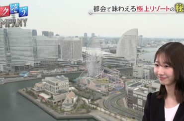 【出演：柏木由紀】 『トクそうCOMPANY』 ▼都会にいながらリゾート気分が味わえる！極上のホテルをトクそうせよ！