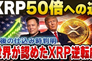 【究極の二択】XRPを信じて待つか、XRPを売るか。後悔したくない人だけ見てください【暗号資産　最新情報】