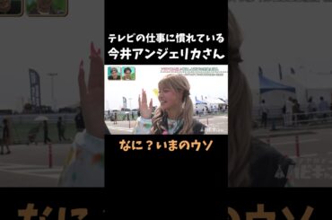 テレビに慣れすぎてる今井アンジェリカさん #おぎやはぎ #ハピキャン