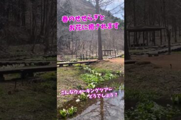 春のせせらぎと水芭蕉に癒される！那須塩原ウォーキングツアー / Healing Spring Stream Walking Tour in Nasushiobara