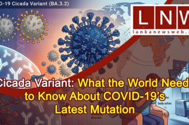 Cicada Variant: What the World Needs to Know About COVID-19’s Latest Mutation #LNW