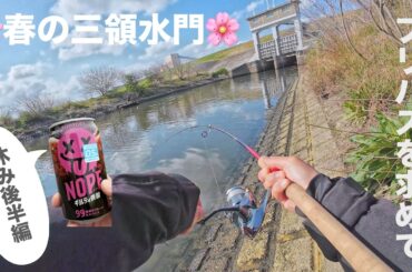 【荒川バス釣り】【スーパーフィッシュローラ】【ソウルシャッド春の三領！プリバスを求めて【