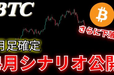 【仮想通貨】ビットコインの反転は4月？月足確定は何を示しているのか？次のシナリオを共有します。